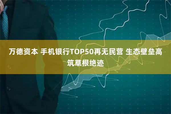 万德资本 手机银行TOP50再无民营 生态壁垒高筑草根绝迹