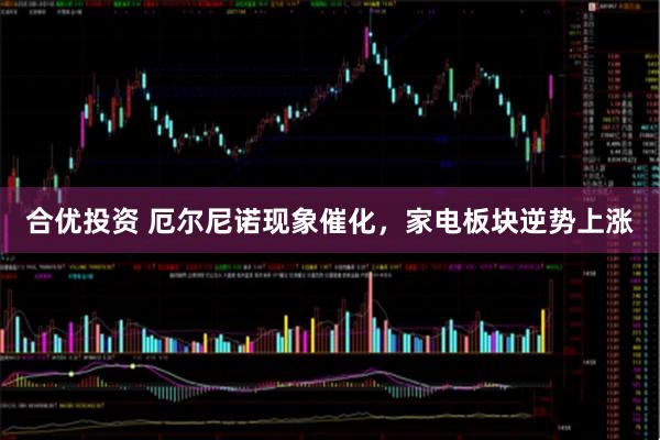 合优投资 厄尔尼诺现象催化,家电板块逆势上涨