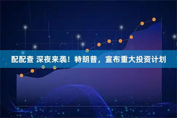 配配查 深夜来袭！特朗普，宣布重大投资计划